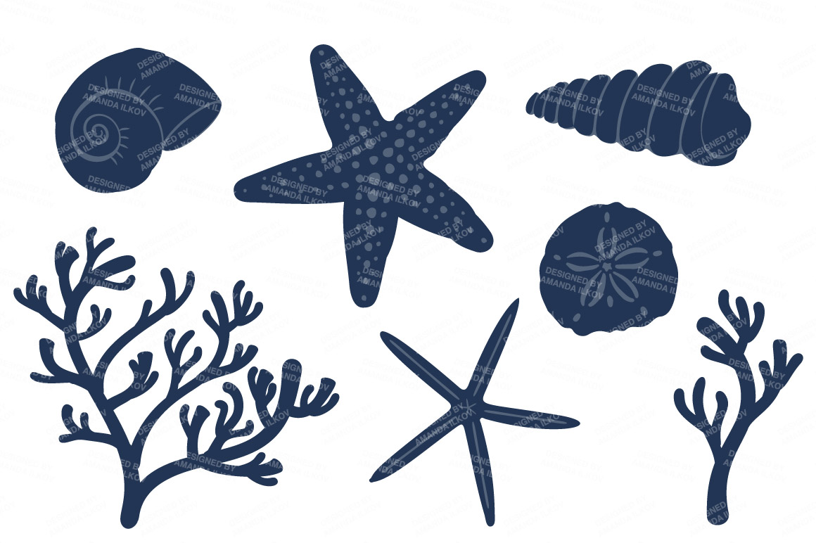 Coral Seashore Shells Free Download Clipart