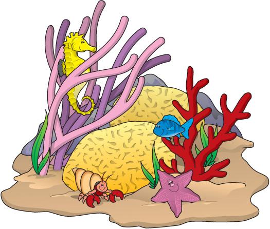Images Coral Reef Transparent Image Clipart