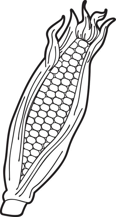 Free Corn Coloring Pages Png Images Clipart