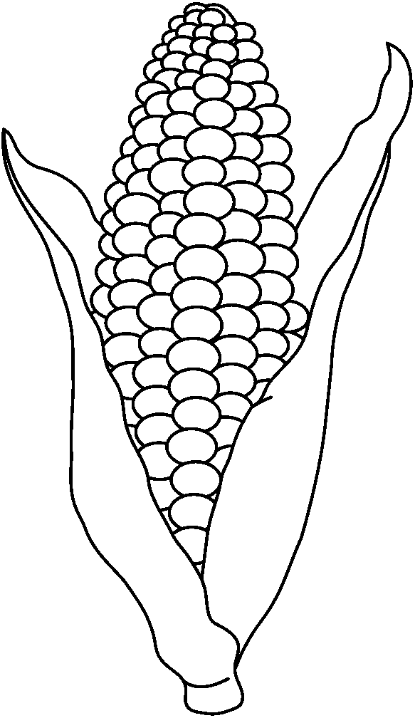 Corn Adiestradorescastro Transparent Image Clipart