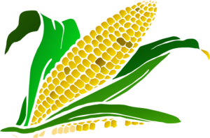 Corn At Vector Png Images Clipart