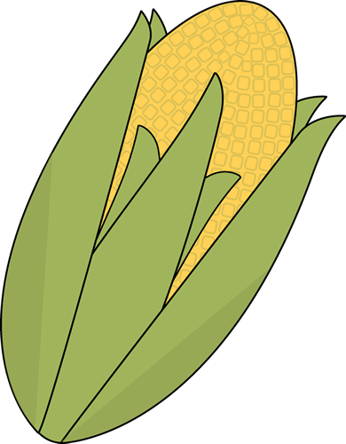 Ear Of Corn Ear Of Corn Image Clipart