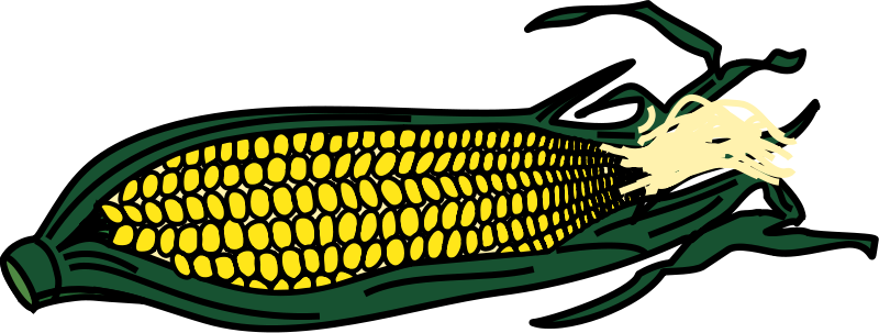 Corn Vector For Download Png Images Clipart