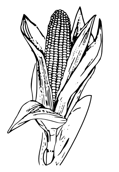 Corn Black And White Images Free Download Clipart