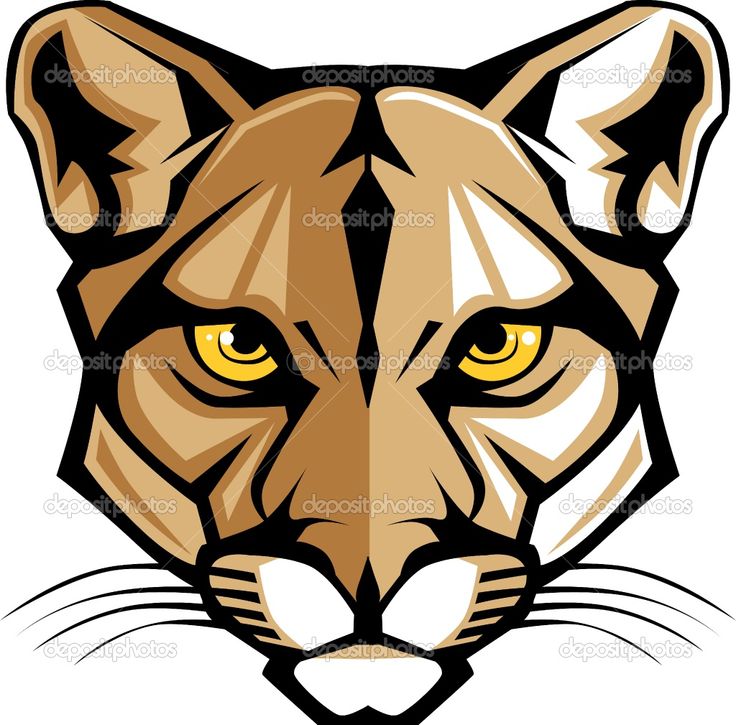 Cougar Panthers And Vector Graphics On Clipart