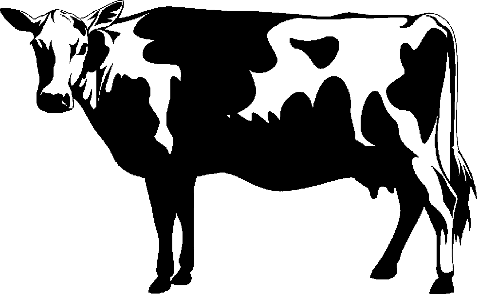 Cow Free Download Clipart