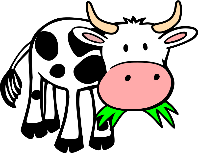 Cow To Use Hd Photo Clipart