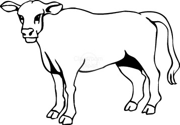 Cow Cow Download Png Clipart
