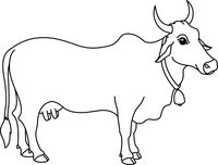 Cow Black And White Animals Outline Pictures Clipart