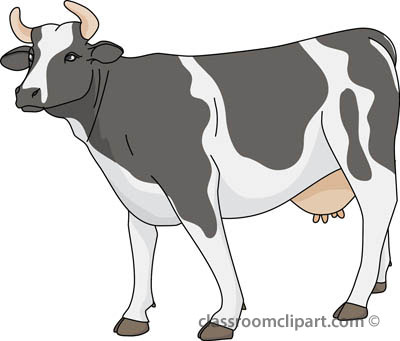 Cow For You Hd Photo Clipart