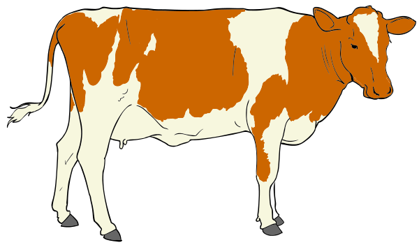 Cow To Use Png Images Clipart