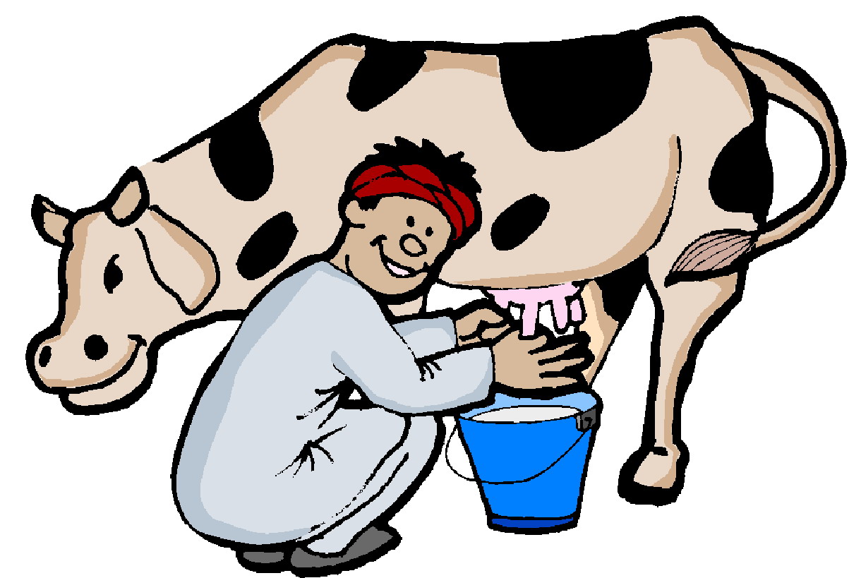 Cows Free Download Png Clipart