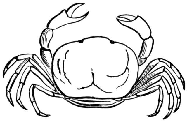 Crab Free Download Clipart