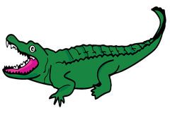 Crocodile Alligator Animations Hd Photos Clipart