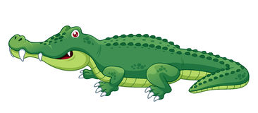 Crocodile Alligator Images Free Download Clipart