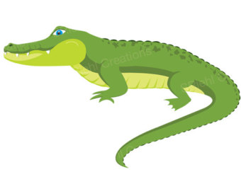 Funny Alligator Crocodile Pictures Hd Photos Clipart