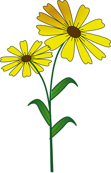 Yellow Daisy Border Dromiai Top Download Png Clipart