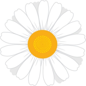 Daisy Free Download Clipart