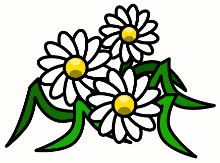 Free Daisy Public Domain Flower Images And Clipart