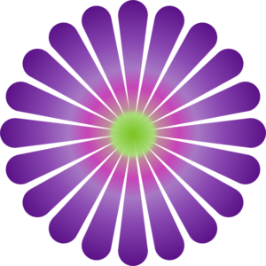 Colorful Daisy Image Transparent Image Clipart