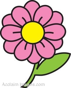 Daisy Vector Download Png Clipart