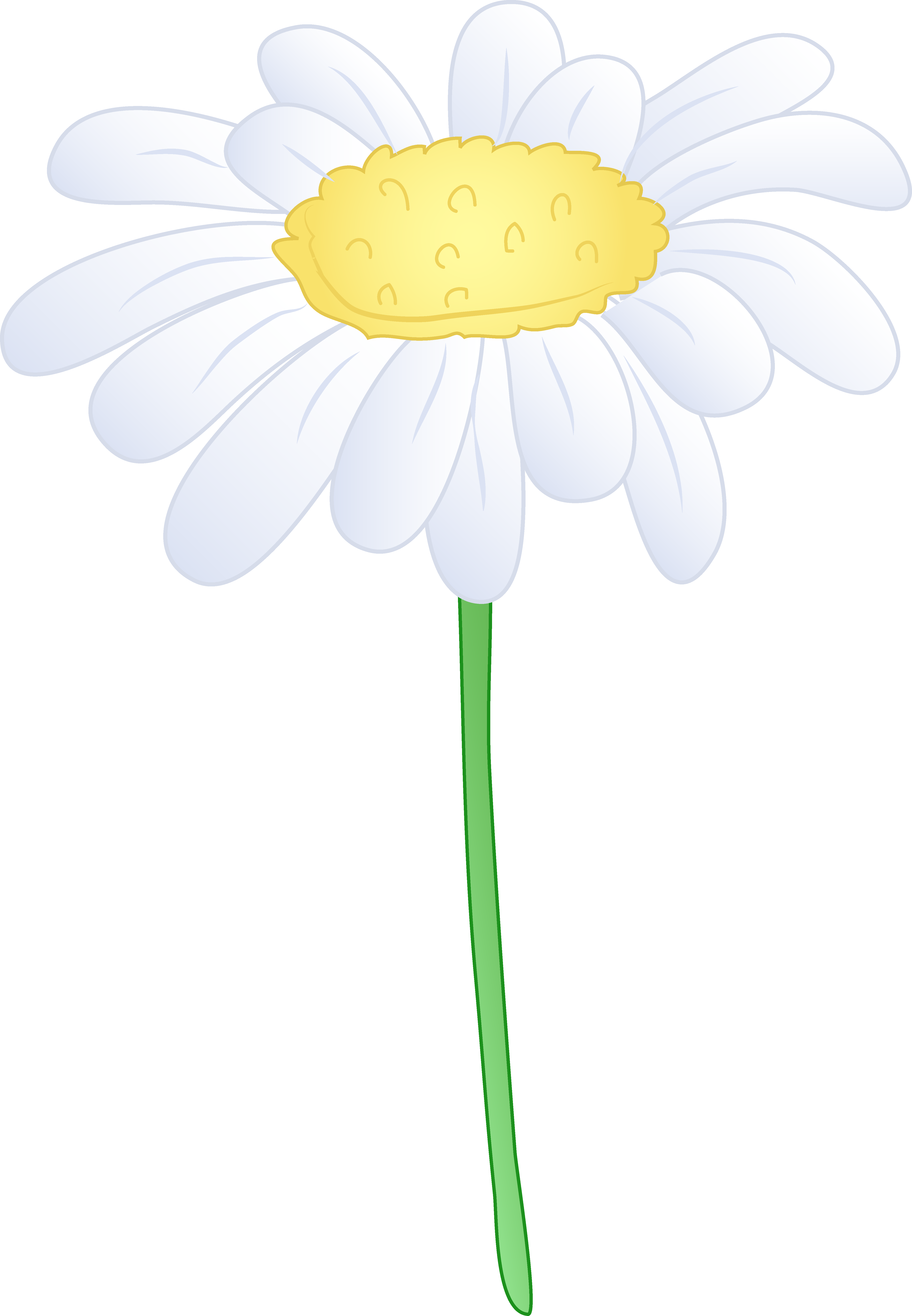 Single White Daisy Flower Hd Photo Clipart