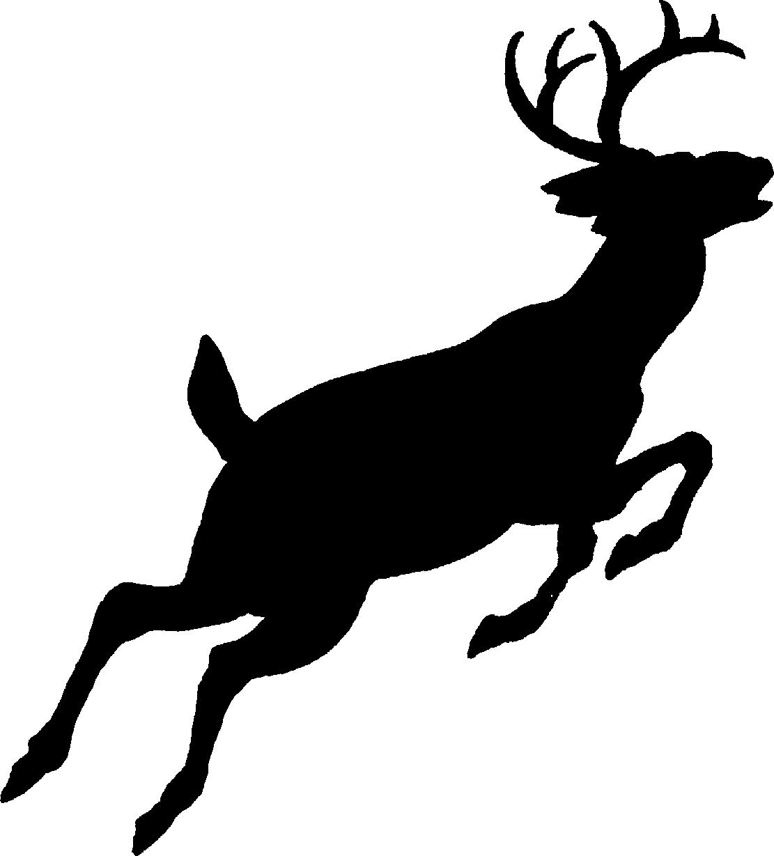 Deer Skull Deer Skull Drawings Middot Deer Clipart