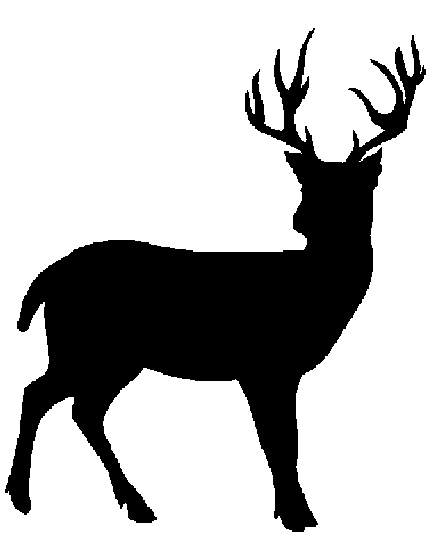 Deer Black And White Images Free Download Png Clipart