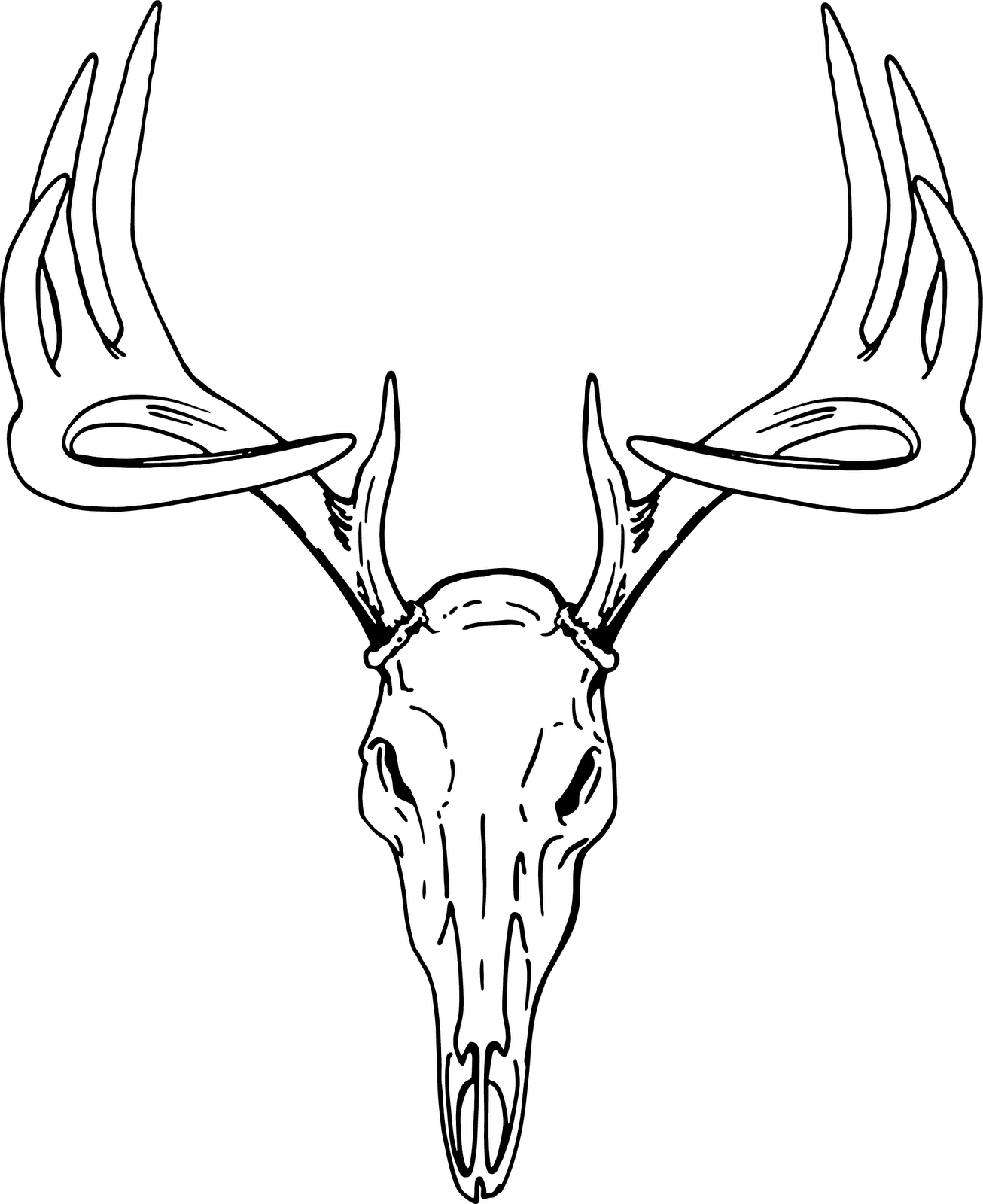 Buck European Mount Deer Skull Deer Track Clipart