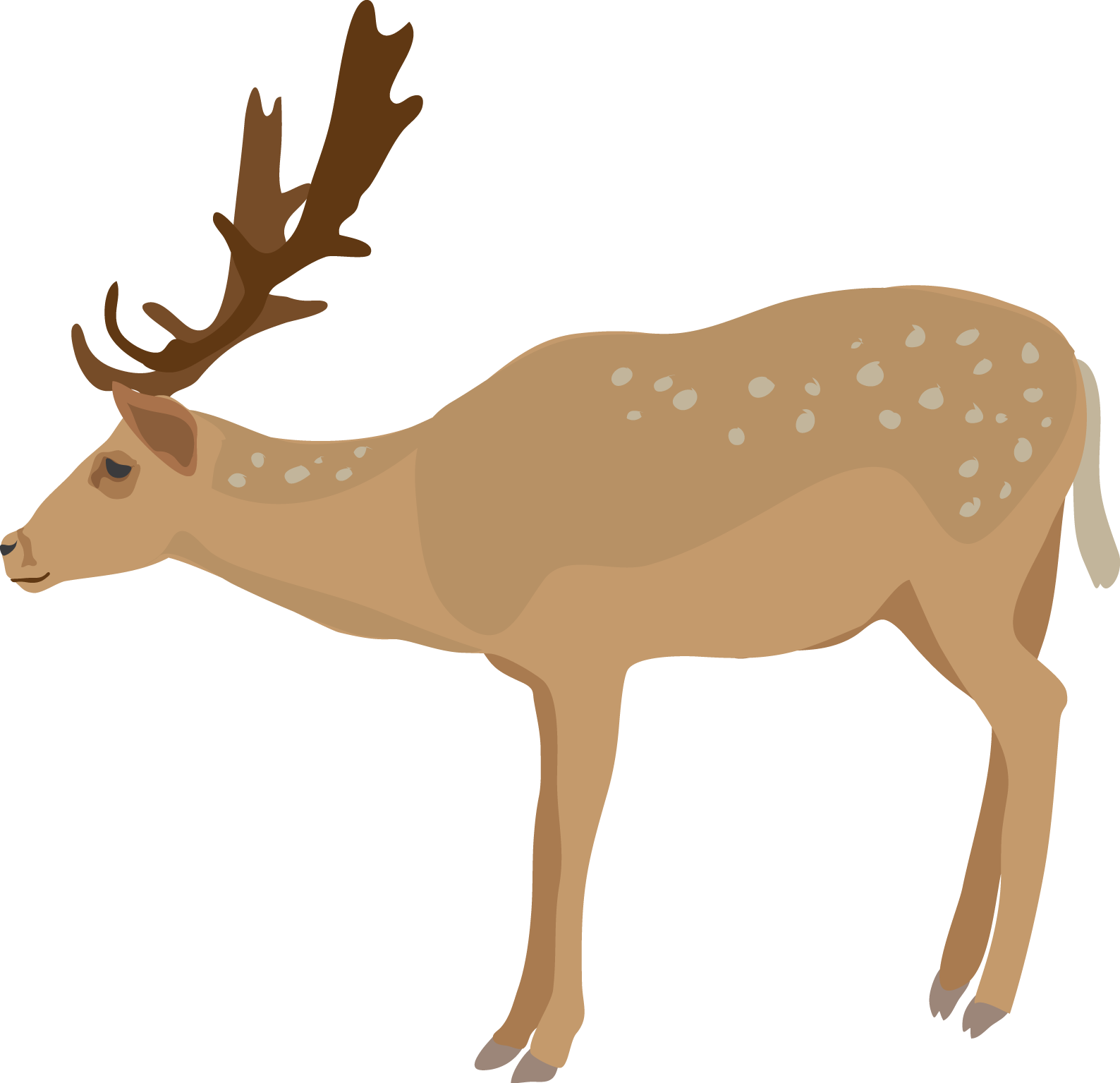 Cute Deer Images Png Image Clipart