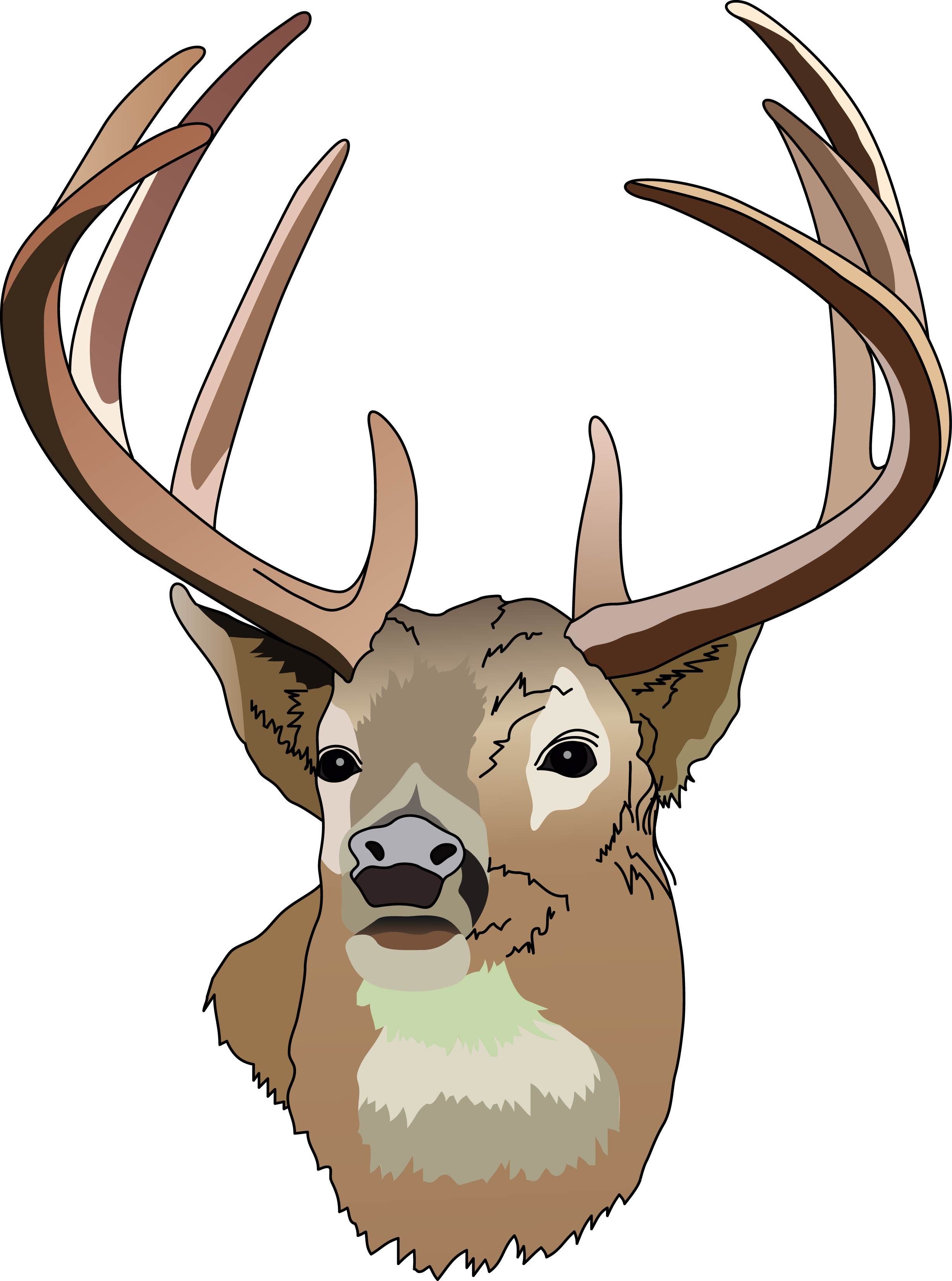 Deer Hunting Images Hd Image Clipart