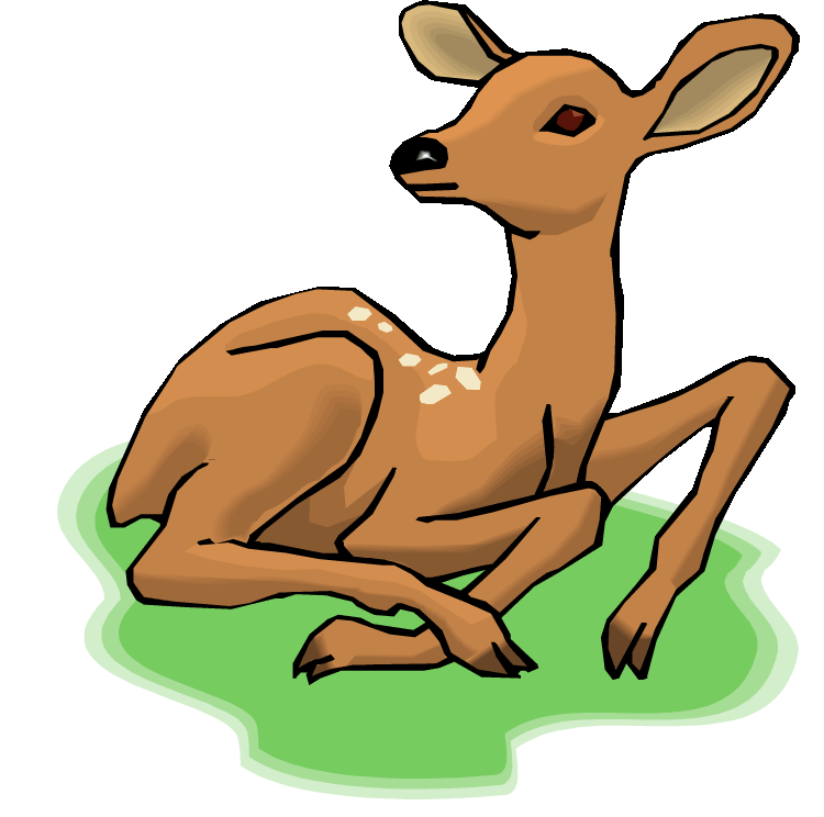 Baby Deer 3 Deer Download Png Clipart