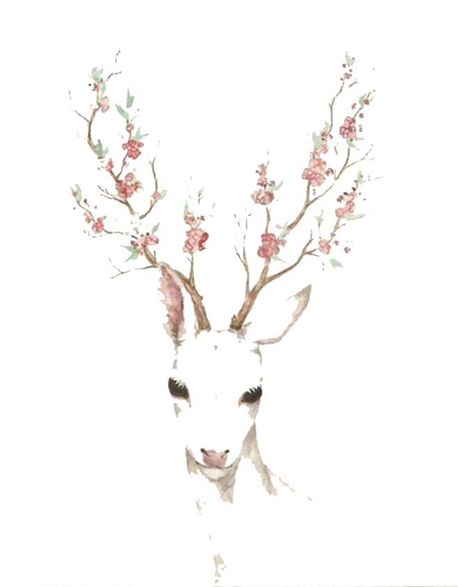 Elk Blossom Cherry Deer Watercolor Paper Antler Clipart