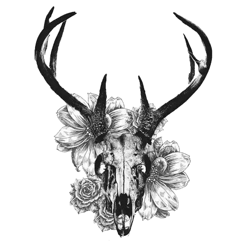 And Tattoo Skull Deer White-Tailed Creative Black Clipart