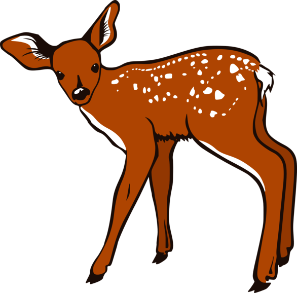 Cute Baby Deer Images Free Download Png Clipart