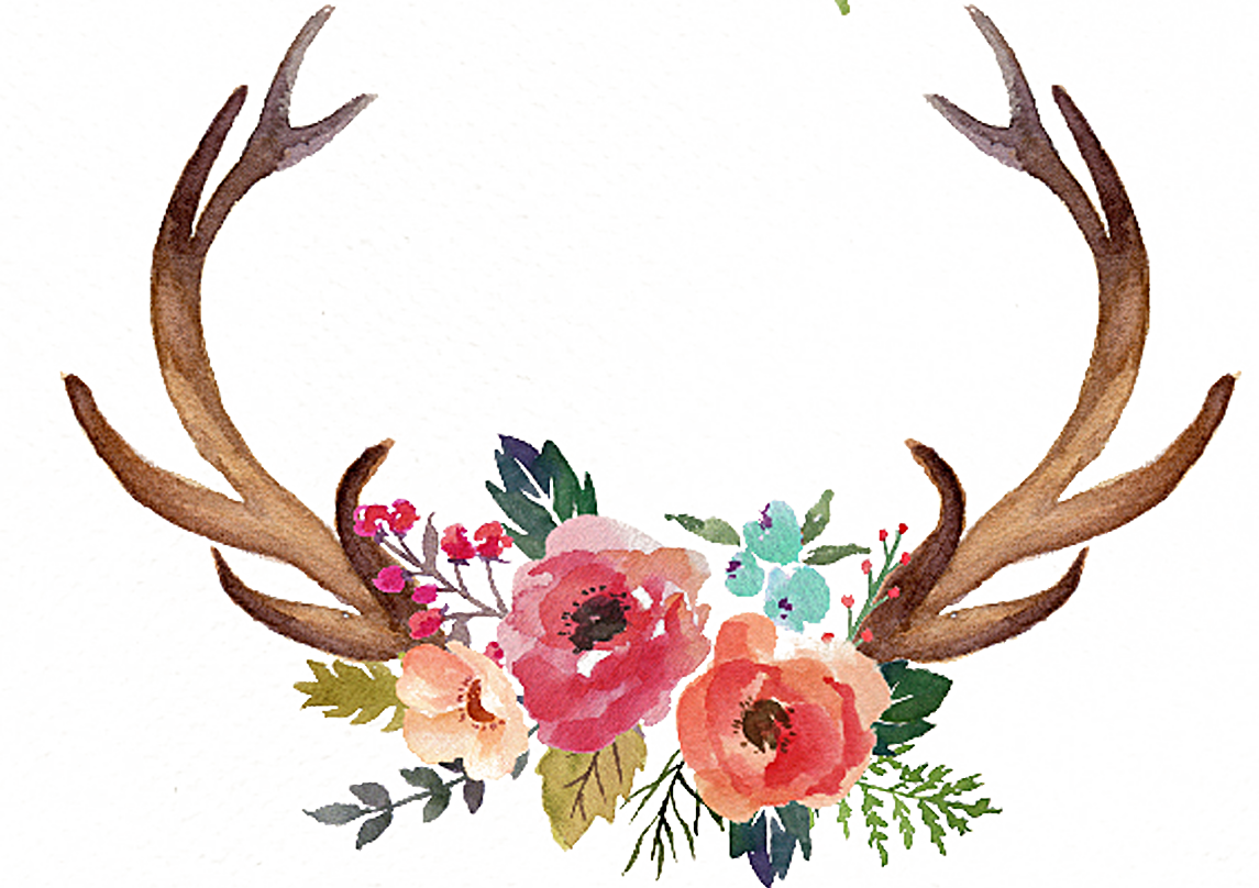 Antlers Moose Flower Painted Deer Hand Antler Clipart