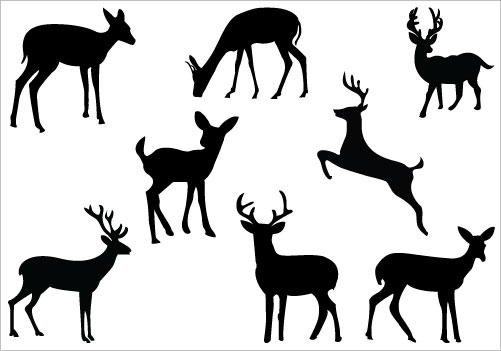 Baby Deer Silhouette Images Hd Photo Clipart