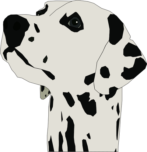Dalmatian Dog Portrait Clipart
