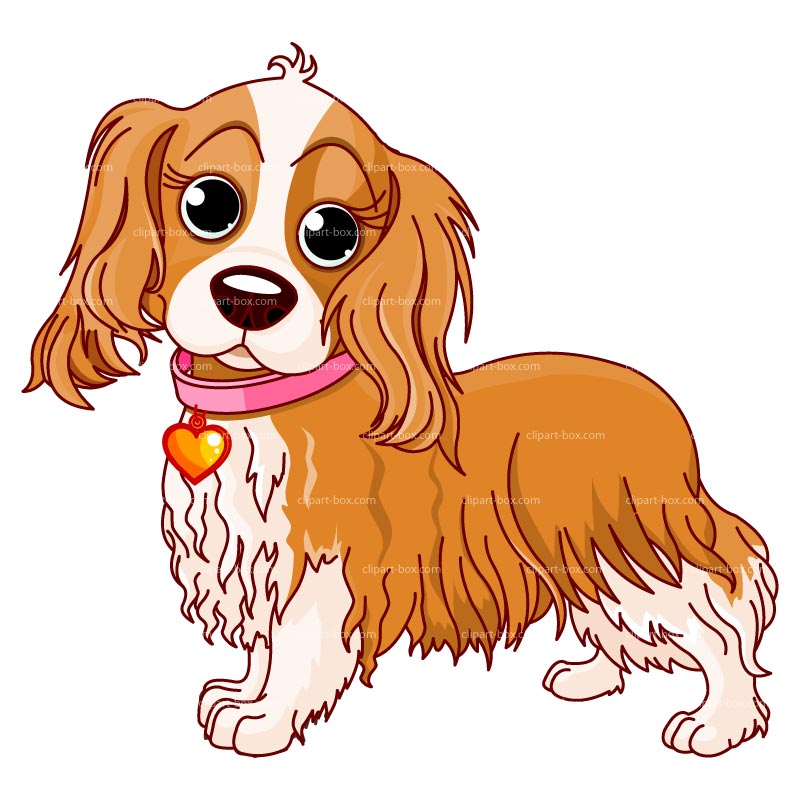 On Dogs Kid Png Image Clipart