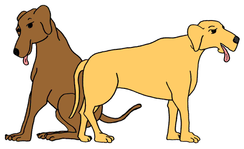 Dogs Mean Dog Images Hd Photo Clipart
