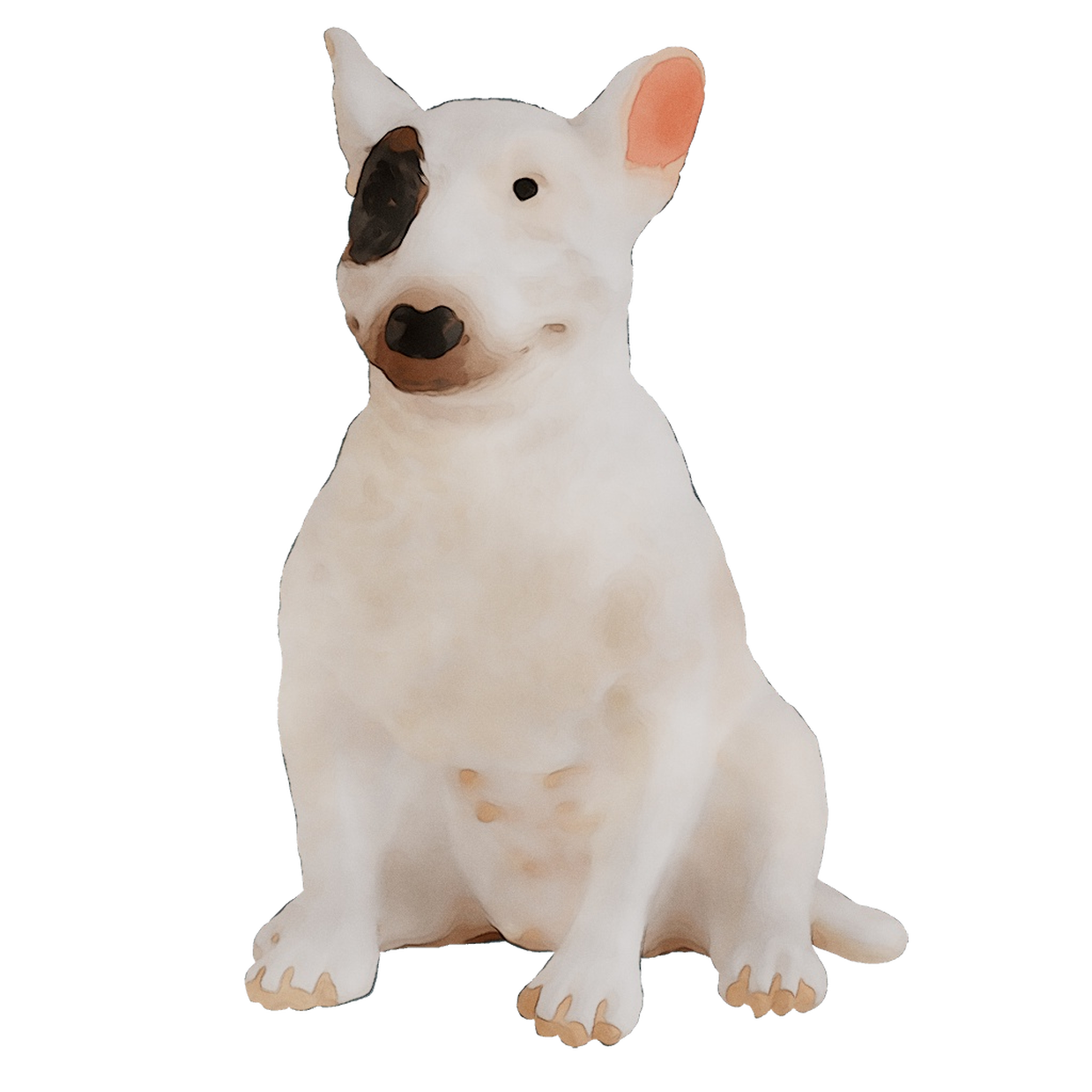 And English Breed Dog Miniature Bull White Clipart
