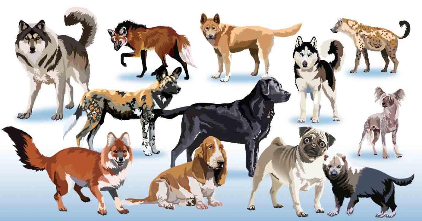 Dogs And Other Animals Links Free Download Clipart