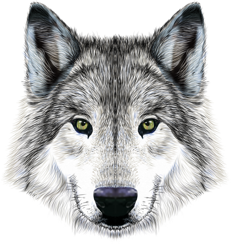 Mexican Imposing Arctic Dog Illustration Wolf Clipart