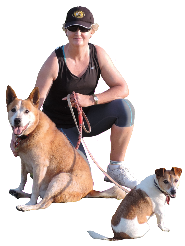 Leash Breed Dog Walking Companion Free Transparent Image HD Clipart