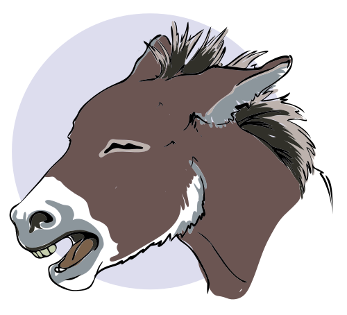 Free Donkey Image Of Image Free Download Png Clipart