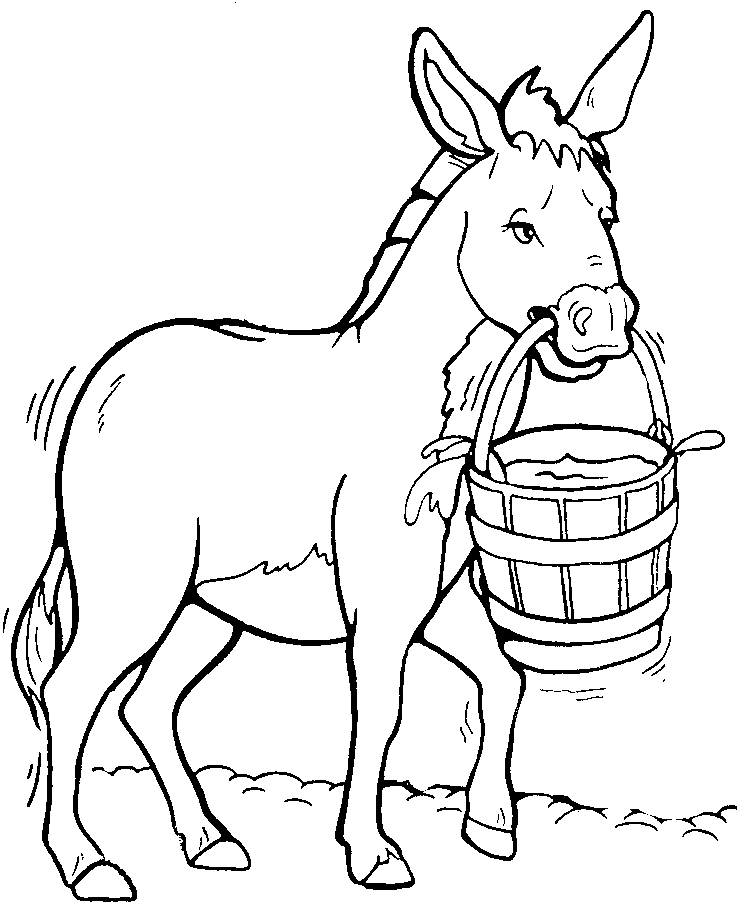 Donkey Drawing Free Download Clipart
