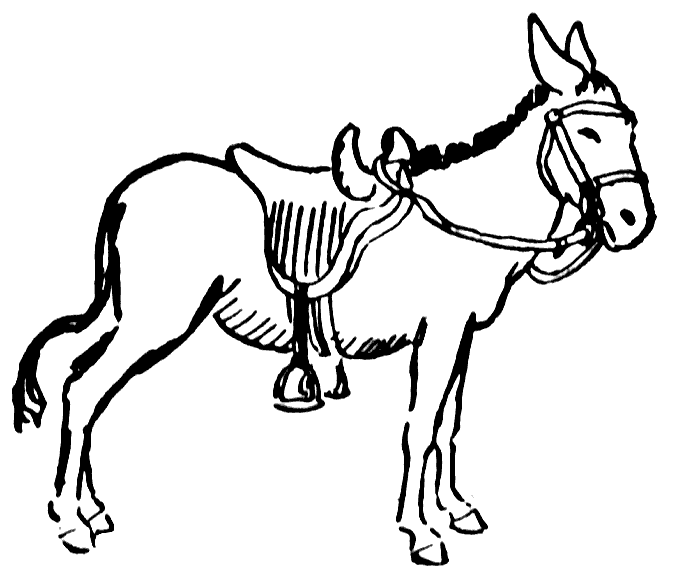Donkey Drawing Png Images Clipart