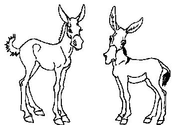 Shady Donkey Collections Image Free Download Png Clipart
