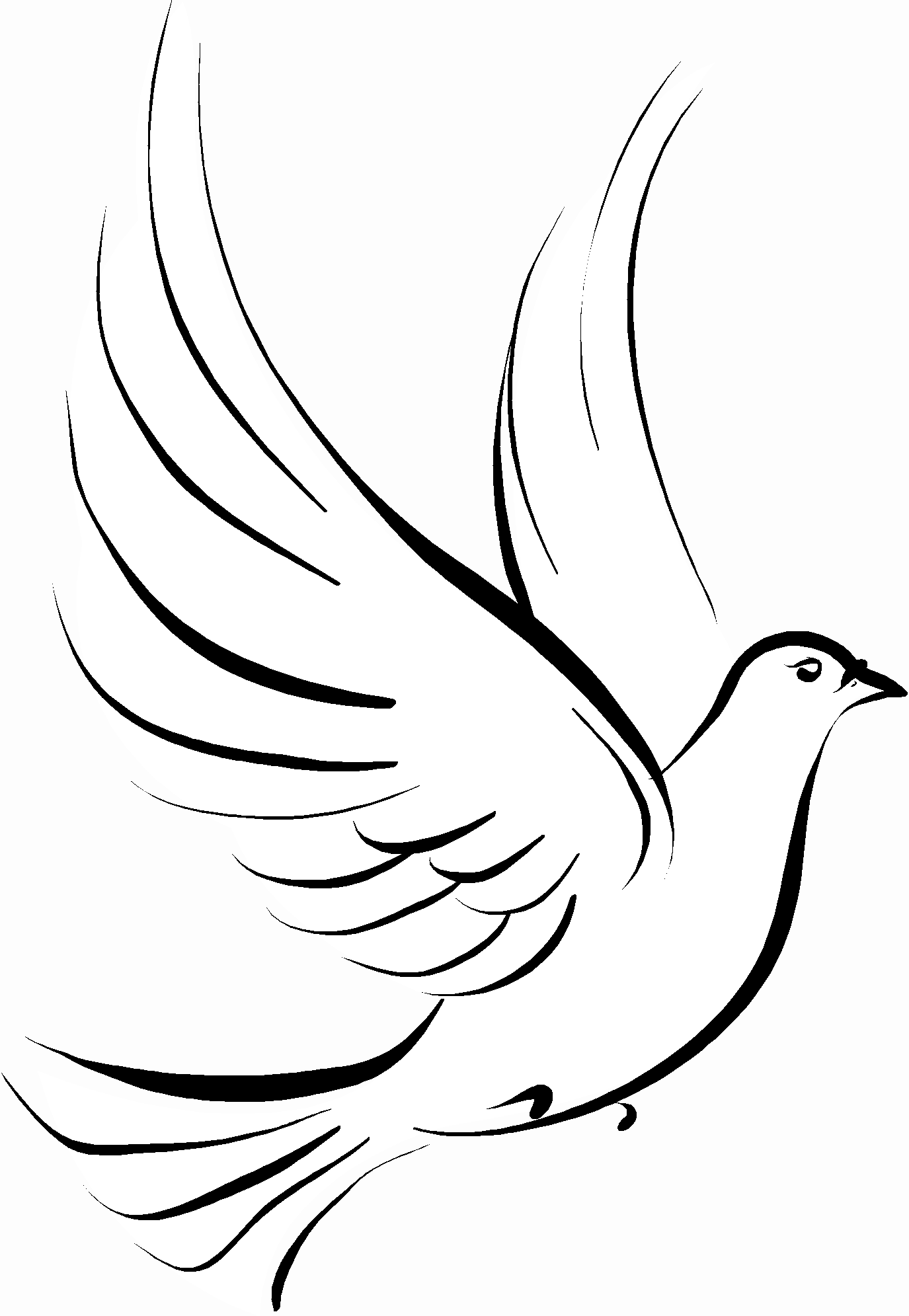 White Dove Dayasriod Top Png Image Clipart