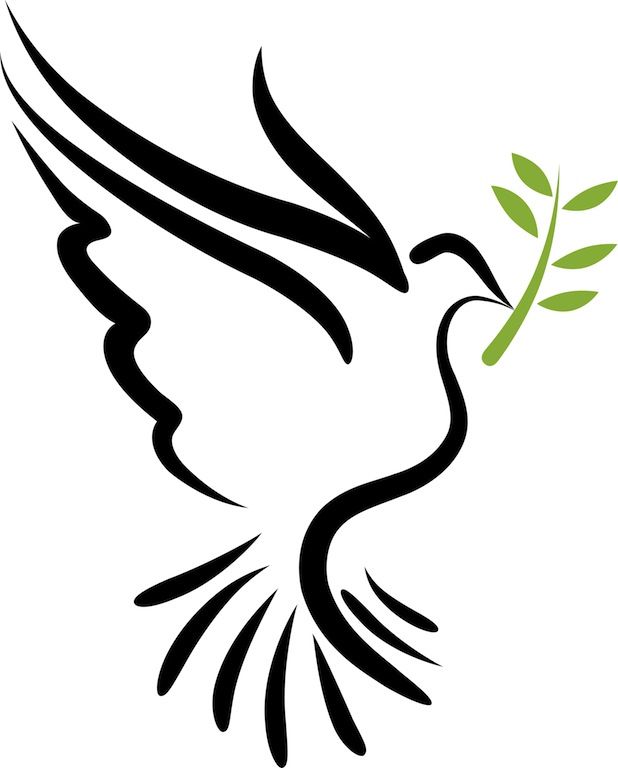 Dove Download Pentecost Pictures Wallpapers Pics Images Clipart